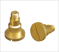 Brass Round Head Bolt
